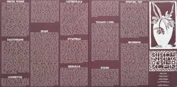 LP Birds In Row: Gris Klein LTD | CLR