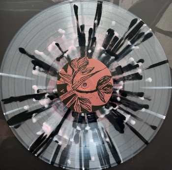 LP Birds In Row: Gris Klein LTD | CLR