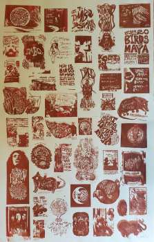 LP Birds Of Maya: Valdez