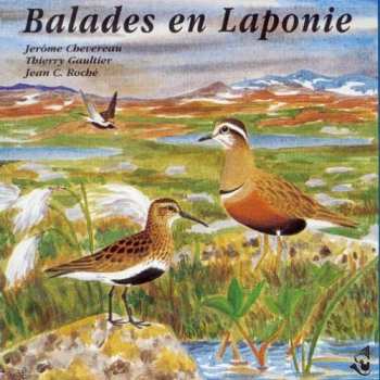 Album Birdsong: Lapland Walks