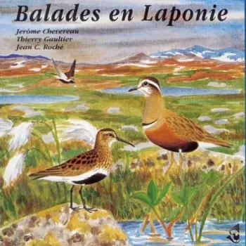 Birdsong: Lapland Walks