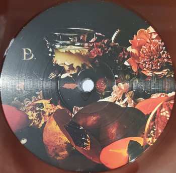 LP Birthmark: Birth of Omni CLR | LTD