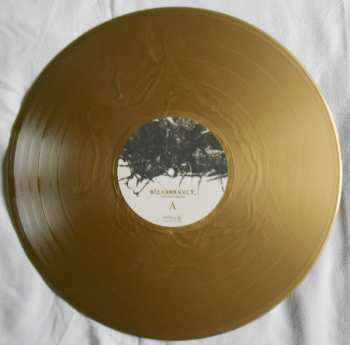 LP Bizarrekult: Den Tapte Krigen CLR | LTD