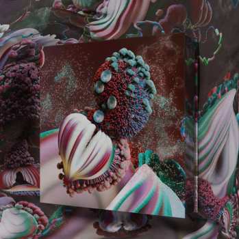 Caja/2EP Björk: Fossoræ DLX | LTD | CLR