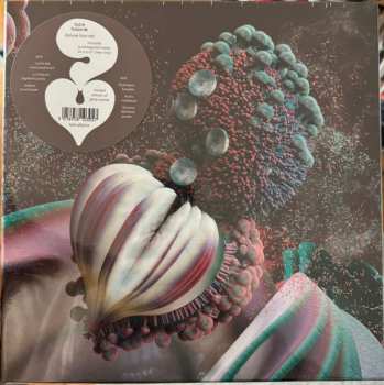 Caja/2EP Björk: Fossoræ DLX | LTD | CLR