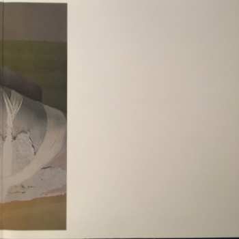 2LP Björk: Greatest Hits