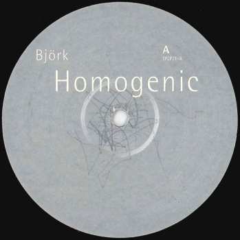 LP Björk: Homogenic