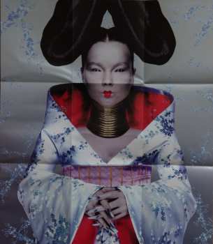 LP Björk: Homogenic