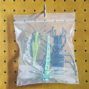 4LP/Caja Black Country, New Road: Ants From Up There DLX | LTD