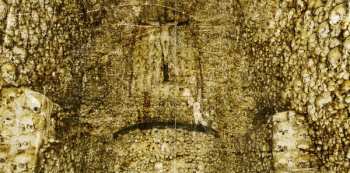 CD Black Label Society: Catacombs Of The Black Vatican