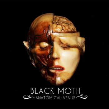 LP Black Moth: Anatomical Venus