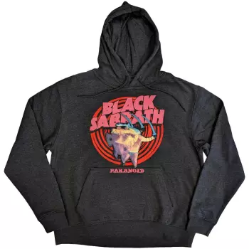 Sudadera Paranoid