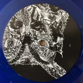 LP Blaze of Sorrow: Astri LTD | CLR