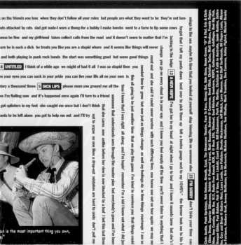 CD Blink-182: Dude Ranch