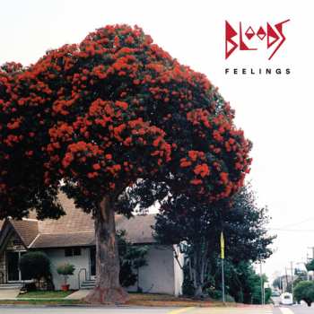 Album Bloods: Feelings
