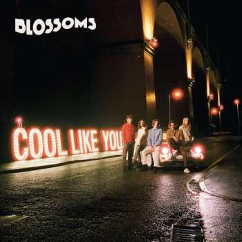 2CD Blossoms: Cool Like You DLX | LTD