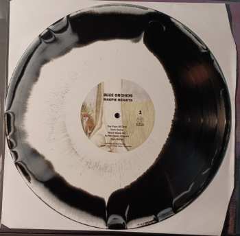 LP Blue Orchids: Magpie Heights CLR