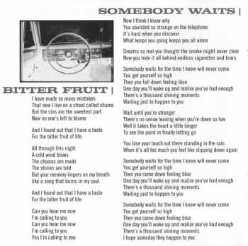 CD Blue Rodeo: The Days In Between