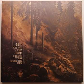 LP Blut Aus Nord: Memoria Vetusta III: Saturnian Poetry CLR