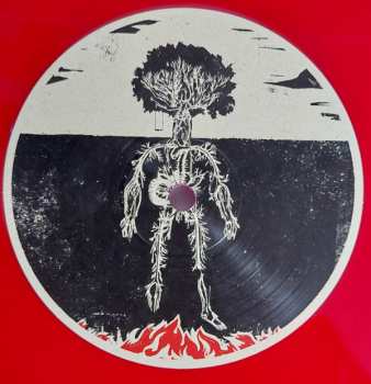 LP Bokanté: History