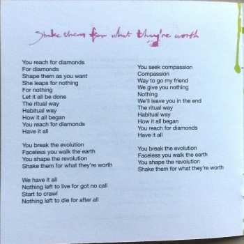 CD Bombus: Repeat Until Death LTD | DIGI