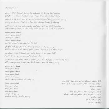 LP Bon Iver: Bon Iver, Bon Iver