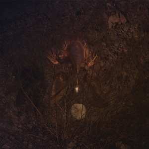 LP BongBongBeerWizards: Ampire