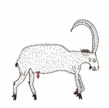 CD Bonnie "Prince" Billy: Summer In The Southeast