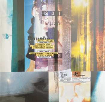2LP Bonobo: Animal Magic