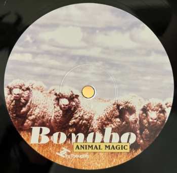 2LP Bonobo: Animal Magic