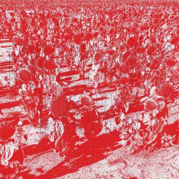 Album Bony King Of Nowhere: Everybody Knows