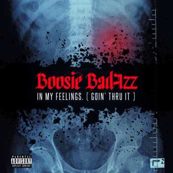 CD Boosie Badazz: In My Feelings. (Goin' Thru It)