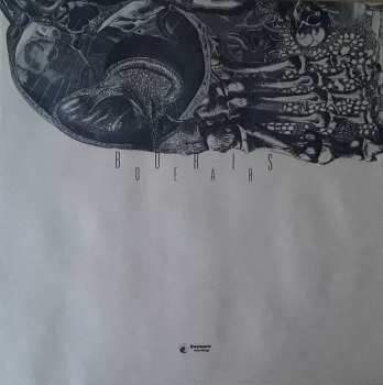 3LP Boris: Dear LTD | CLR