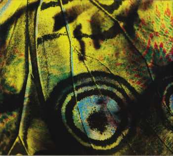 CD Bosnian Rainbows: Bosnian Rainbows