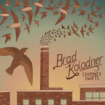 Album Brad Kolodner: Chimney Swifts