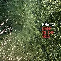 Braids: Deep In The Iris