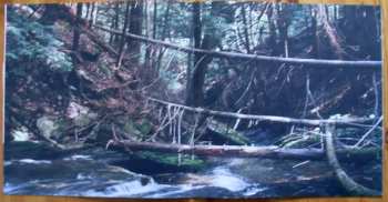 LP Braids: Deep In The Iris