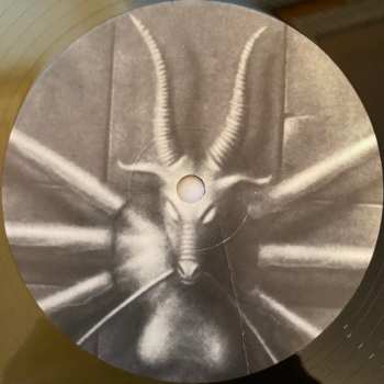 LP Brainoil: Brainoil