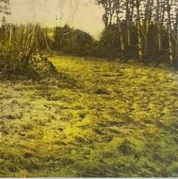 2LP/CD Brandi Carlile: Bear Creek