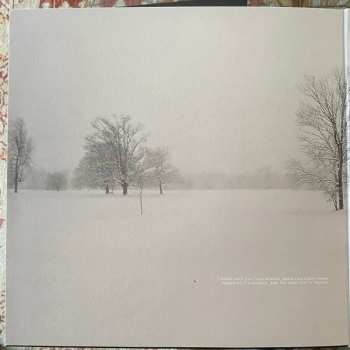 LP Brandtson: Letterbox CLR | LTD