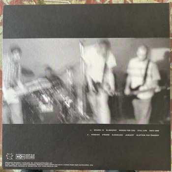 LP Brandtson: Letterbox CLR | LTD