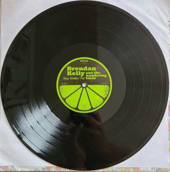 LP Brendan Kelly & The Wandering Birds: Keep Walkin' Pal