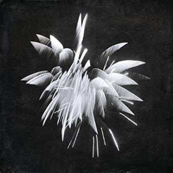 CD Brent Windler: New Morning Howl