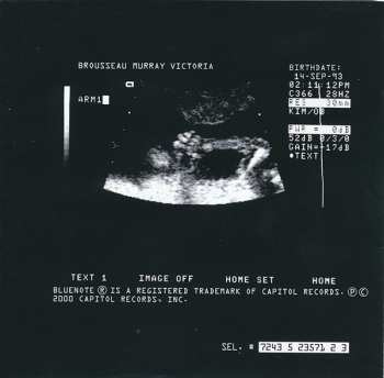 CD Brian Blade Fellowship: Perceptual