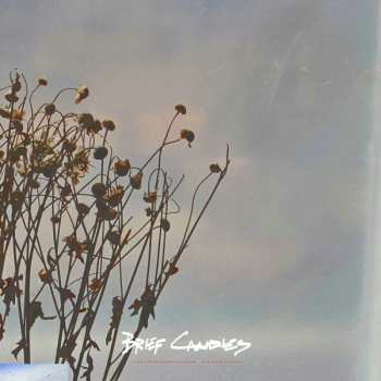Album Brief Candles: Unfinished Nature
