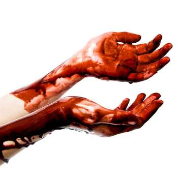 CD Bring Me the Horizon: Suicide Season