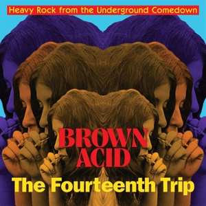 LP Various: Brown Acid: The Fourteenth Trip (Heavy Rock From The Underground Comedown)