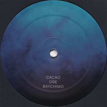 2LP Bruce: Sonder Somatic