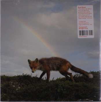 LP Buck Meek: Buck Meek CLR | LTD