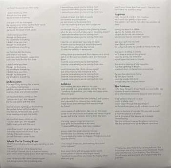 LP Buck Meek: Haunted Mountain CLR | LTD